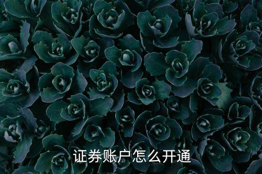 證券賬戶(hù)怎么開(kāi)通