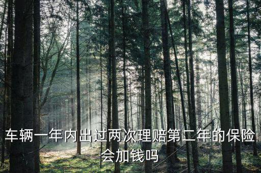 一年中兩次事故理培有什么影響，車輛一年內(nèi)出過兩次理賠第二年的保險會加錢嗎