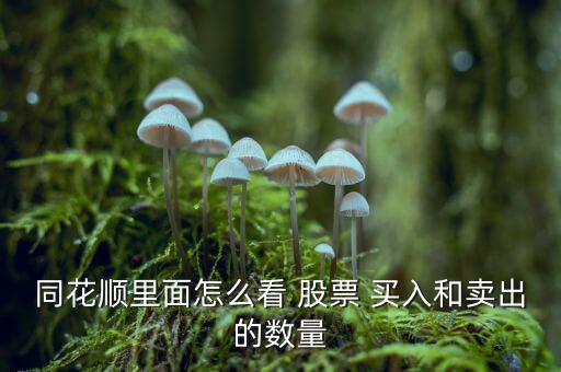 同花順里面怎么看 股票 買(mǎi)入和賣(mài)出的數(shù)量
