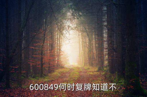 儀電b股什么時候復(fù)牌，600849何時復(fù)牌知道不