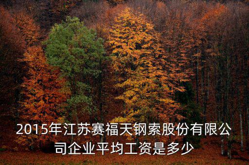 賽福天是什么公司，2015年江蘇賽福天鋼索股份有限公司企業(yè)平均工資是多少