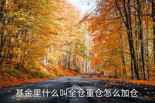什么是基金加倉，基金里什么叫全倉重倉怎么加倉