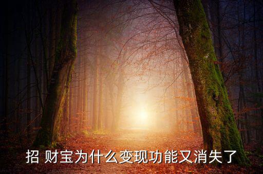 怎么通過(guò)招財(cái)寶借錢(qián),用趙財(cái)寶變現(xiàn)貸款需滿足以下條件