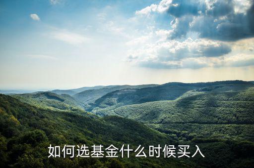 一只基金什么點買入好，我想買點基金哪一種比較好