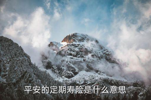 什么是定壽險交費，學平險定壽指的是什么