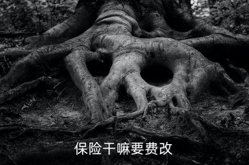 什么是費(fèi)改產(chǎn)品，移動營業(yè)廳不能由用戶老產(chǎn)品轉(zhuǎn)換成當(dāng)前產(chǎn)品什么意思