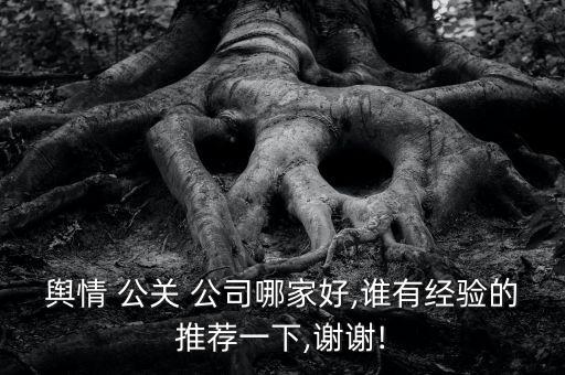 輿情 公關 公司哪家好,誰有經驗的推薦一下,謝謝!