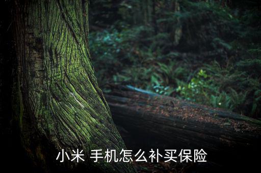 小米手機(jī)意外險(xiǎn)怎么買,手機(jī)買了沒(méi)有買保險(xiǎn)怎么辦?