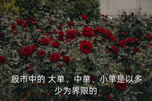  股市中的 大單、中單、小單是以多少為界限的