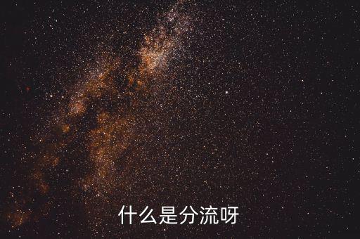 大分流指的是什么，大學(xué)分流有什么一流大學(xué)還有二流大學(xué)以及三流大學(xué)是怎么劃分