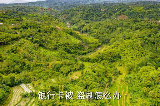 儲蓄卡被網(wǎng)上盜刷消費(fèi)怎么辦,如何防止銀行卡被盜刷?