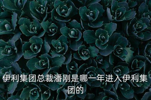 潘剛什么背景，潘剛是哪里人啊