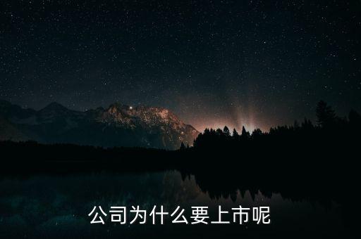 公司為什么上市，公司為什么要上市呢