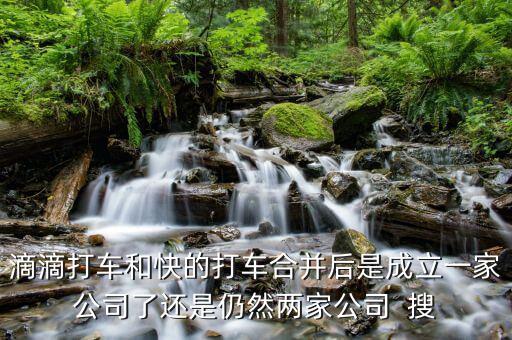 滴滴快的合并后叫什么，滴滴打車和快的打車合并后是成立一家公司了還是仍然兩家公司  搜