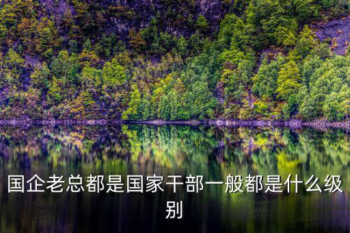 中交地產(chǎn)總經(jīng)理屬于什么級(jí)別干部，國(guó)企老總都是國(guó)家干部一般都是什么級(jí)別