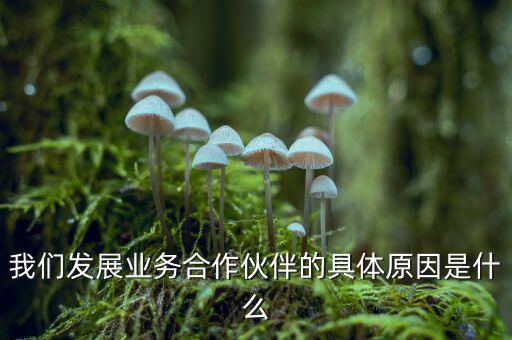 為什么要發(fā)展同業(yè)業(yè)務(wù)，匯付天下之前說要大力發(fā)展同業(yè)業(yè)務(wù)同業(yè)業(yè)務(wù)指的是甚么
