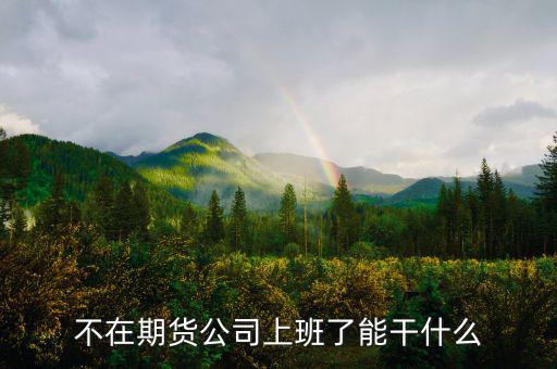 去期貨公司能做什么，本人去某期貨公司總部適合做什么
