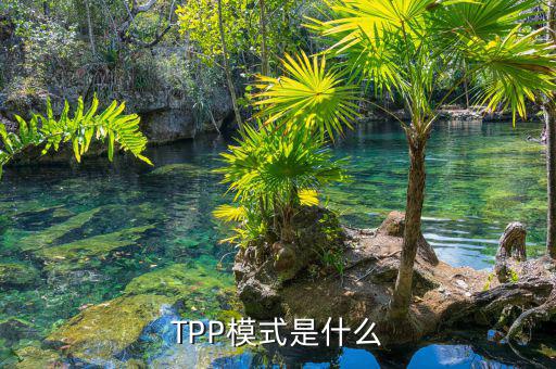 tpp什么時(shí)候生效，TPP文件時(shí)什么東西