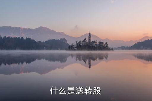 什么叫送股，什么是送轉股