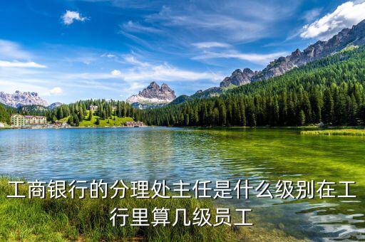 銀行分理處值班經(jīng)理是什么職位，工商銀行的分理處主任是什么級別在工行里算幾級員工