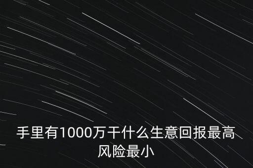 1000萬(wàn)投資什么生意，手里有1000萬(wàn)干什么生意回報(bào)最高風(fēng)險(xiǎn)最小