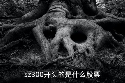 sz開頭的是什么股票，sz300開頭的是什么股票