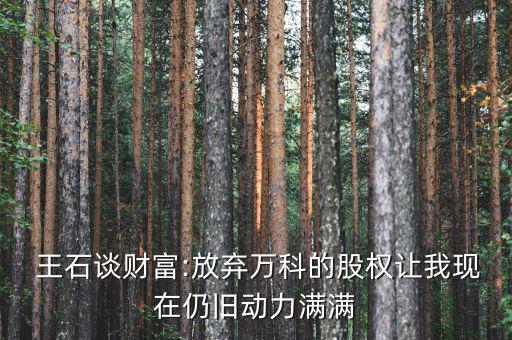  王石談財(cái)富:放棄萬科的股權(quán)讓我現(xiàn)在仍舊動(dòng)力滿滿