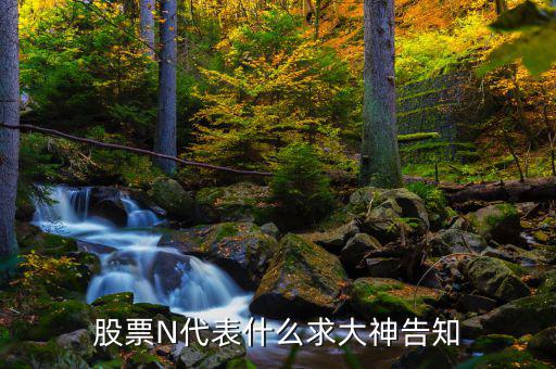 股市中n是什么意思，一些股票中前面的N是什么意思