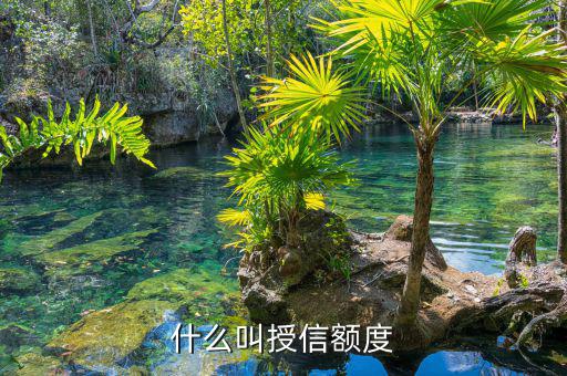授信總額什么意思，非循環(huán)貸賬戶授信總額是什么意思