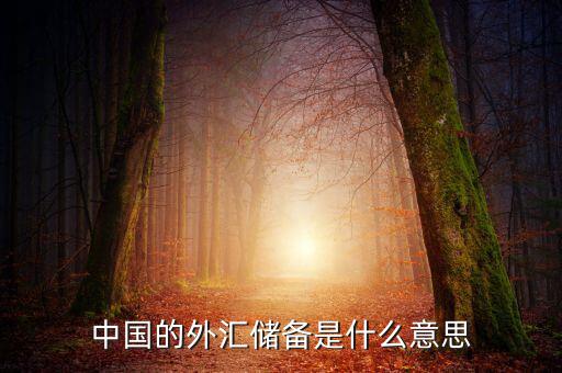 中國外匯儲備包括什么，我國外匯儲備