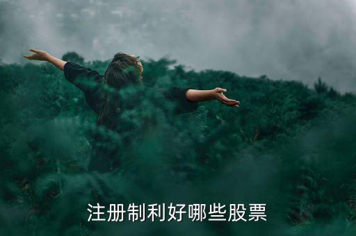 什么股票注冊制，IPO注冊制是什么意思