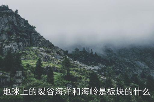 誠(chéng)益通屬于什么板塊，地球上的裂谷海洋和海嶺是板塊的什么