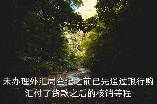 未辦理外匯局登記之前已先通過銀行購(gòu)匯付了貨款之后的核銷等程