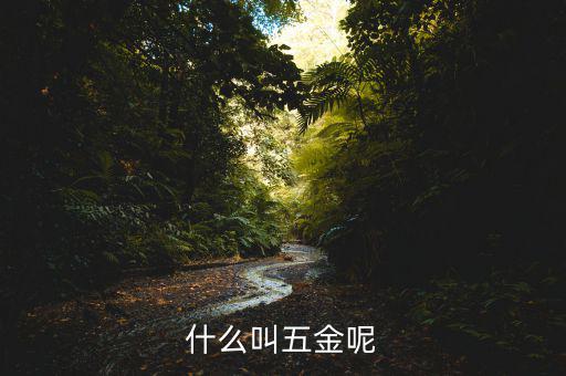 什么叫一市五金多套餐，知不知道招聘里說(shuō)的 五金齊全是指什么