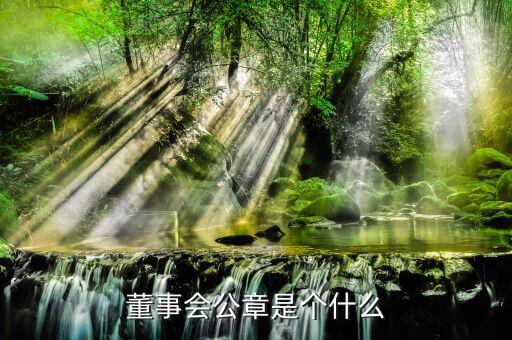 什么是董事會印章，完美國際魔方董事會印章有什么用