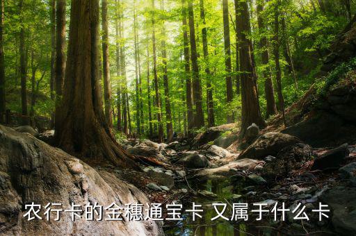農(nóng)行叫號(hào)Q字頭是什么卡，農(nóng)行卡叫什么卡