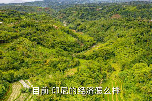 印尼怎么賺錢(qián),印尼自然條件更適合金絲燕筑巢繁殖中印貿(mào)易密切