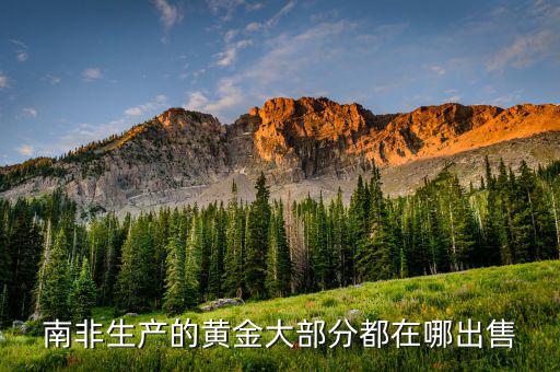 南非產(chǎn)黃金的地方了什么，南非的黃金城約翰內(nèi)斯堡