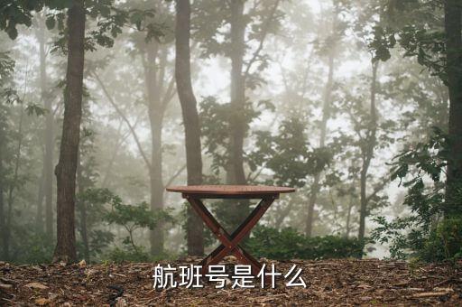 航班號(hào)ms什么，MS是什么航空