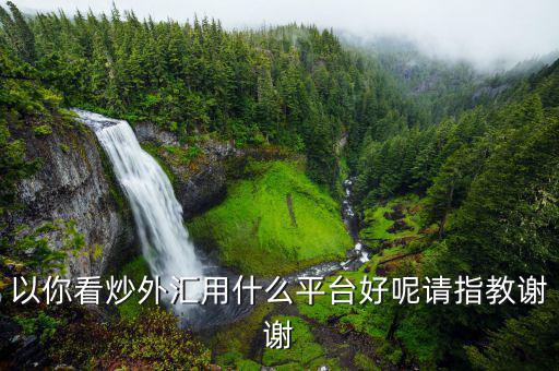 炒美元什么平臺，以你看炒外匯用什么平臺好呢請指教謝謝