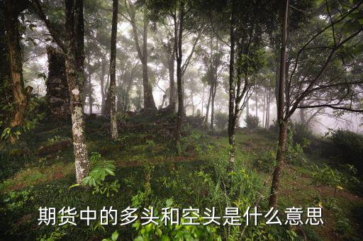 離岸空頭是什么，期貨中的多頭和空頭是什么意思