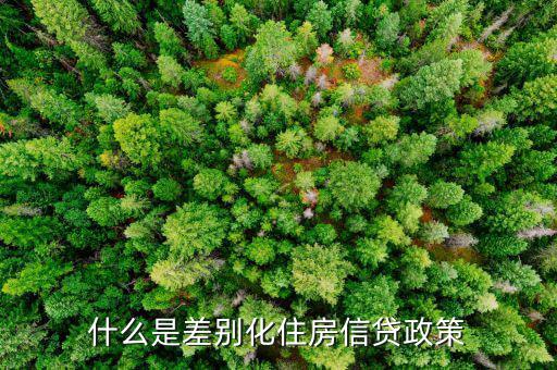 什么是差別化住房信貸政策，什么叫差別化住房信貸政策