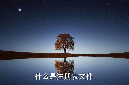 什么是注冊制，化妝品注冊是什么