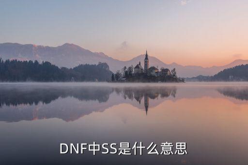 ngbss是什么，DNF武器cc和ss是指什么請(qǐng)?jiān)敿?xì)解釋