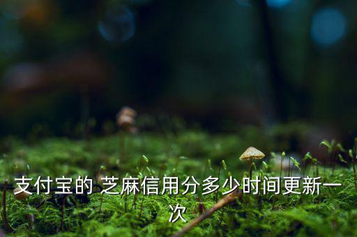 芝麻信用分什么時(shí)候更新，支付寶的 芝麻信用分多少時(shí)間更新一次