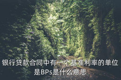 利率bps是什么意思，BPS是什么