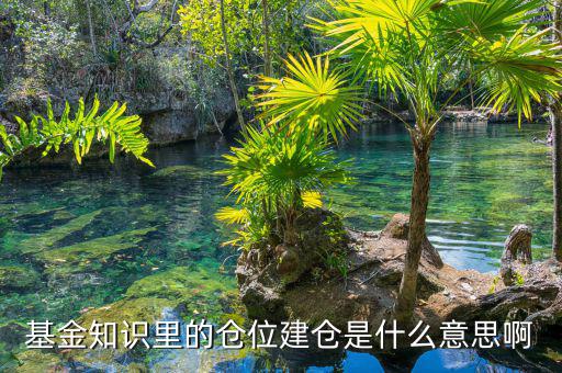 基金建倉(cāng)什么意思，建倉(cāng)是什么意思