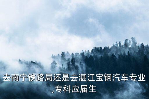 去南寧鐵路局還是去湛江寶鋼汽車專業(yè),?？茟?yīng)屆生