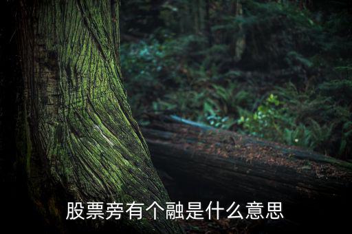 融買融賣是什么意思，股票旁有個(gè)融是什么意思