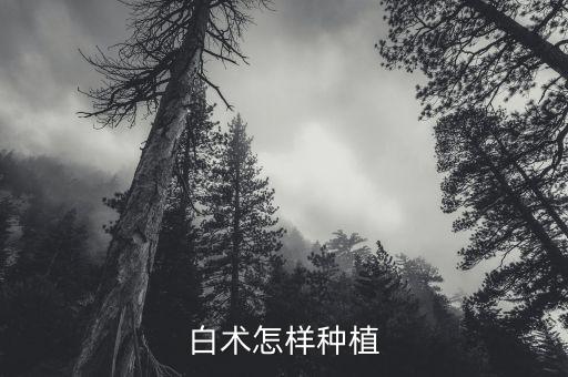 3銀15度怎么求,白術種子發(fā)芽溫度15度以上時最好